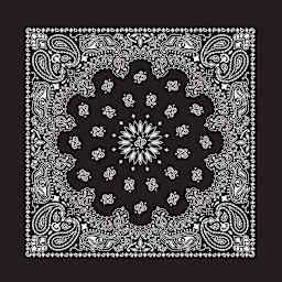Hav-A-Hank Paisley Bandana - Black, 22" W x 22" L
