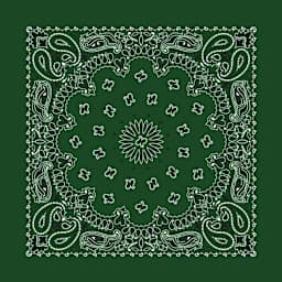 Hav-A-Hank Paisley Bandana - Hunter Green, 22" W x 22" L