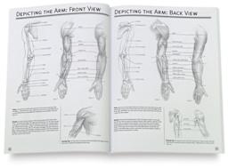 The Art of Drawing People - Inside spread showing the anatomy of an arm