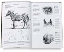 Drawing Made Easy: Horses and Ponies