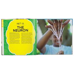 Brain Lab for Kids