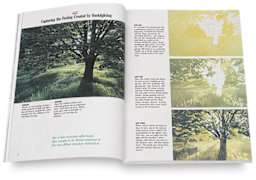Big Book of Painting Nature in Watercolor