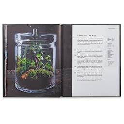 Terrariums