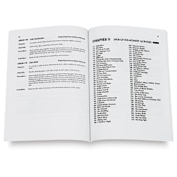 300 Lessons in Art