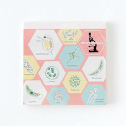 Green Flash Study Holic Square Memo Pad, Microbiology