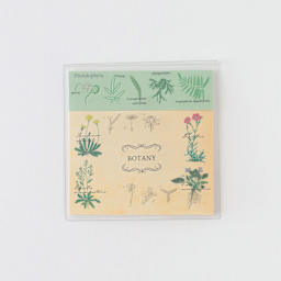 Green Flash Study Holic Sticky Notes, Botany