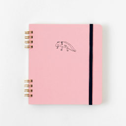 Green Flash Animal Spiral Notepad, Axolotl