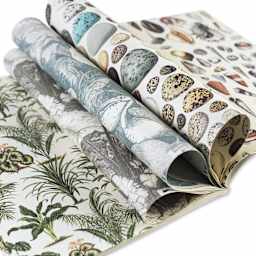 Pepin Press Creative Paper Book - Natural History, open