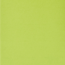Fabriano Ecoqua Original Staple-Bound Notebook, 5.8 in x 8.3 in, A5, Graph, 40 Sheets, Lime