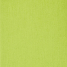 Fabriano EcoQua Original Staple-Bound Notebook, 8.3 in x 11.7 in, A4, Dotted, 40 Sheets, Lime