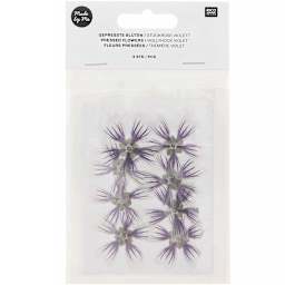 Pressed Flower & Plant Sets Hollyhock - Violet, 8/Pkg.