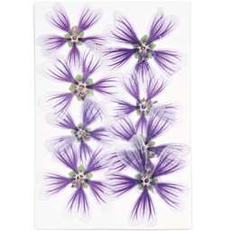 Pressed Flower & Plant Sets Hollyhock - Violet, 8/Pkg.