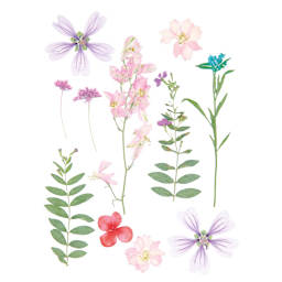 Pressed Flower & Plant Sets Pink Violet Mix - 11 Pcs./Pkg.