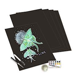 Stillman & Birn Nova Series Sheets - Black, 22" x 30", 5 Sheets