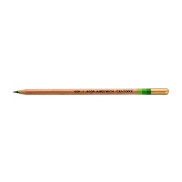 Tritone Colored Pencils Forest