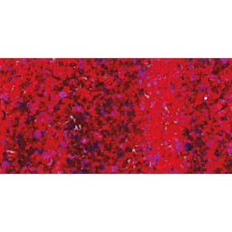 DecoArt Galaxy Glitter Paint - Red Nebula, 2 oz swatch