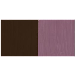 Nicker Poster Colour Paint - Chocolate swatch