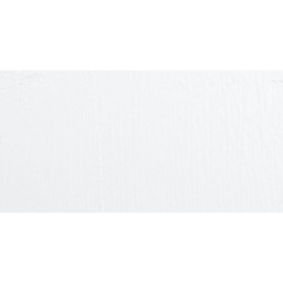 ShinHan Colorist Poster Color Paint - White swatch
