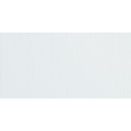 ShinHan Professional Poster Color Paint - White swatch
