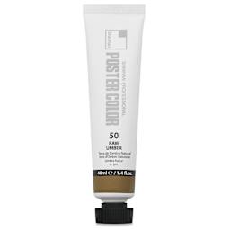 ShinHan Professional Poster Color Paint - Raw Umber, 40 ml tube