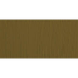 ShinHan Professional Poster Color Paint - Raw Umber swatch