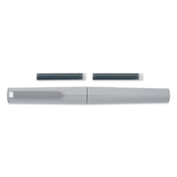 Sailor TUZU Adjust Fountain Pen - Gray, Fine, with replacement ink cartridges