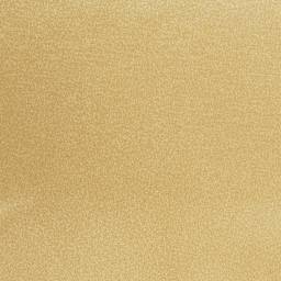 Camelot Stretch Charmeuse - Champagne, 59" x 15 yds