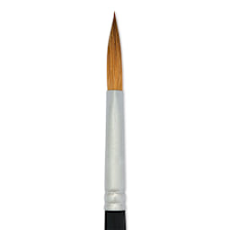 Princeton Aqua Elite Series 4850 Synthetic Mini Brush - Prism, Size 2, close up