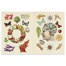 The Antiquarian Sticker Book, open