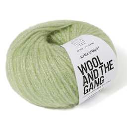Wool and the Gang Alpaca Stardust Yarn - Daydream Green, 120 yds angled view showing top