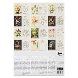 The Pepin Press Floral Artists’ Coloring Book, back cover