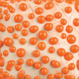 Ritual Glaze by Mayco Bead Glaze - Orange, 16 oz fired to cone 6 oxidation