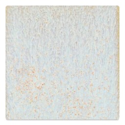 Coyote Fantasy Glaze - Star Dust, 16 oz