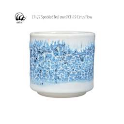 Cone 6 - CR-22 Speckled Teal over PCF-19 Cirrus Flow
