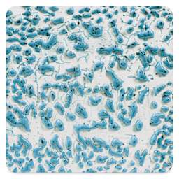 Amaco Crawls Glaze - CR-22 Speckled Teal, Pint