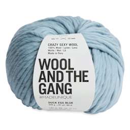 Wool and the Gang Crazy Sexy Wool Yarn - Duck Egg Blue