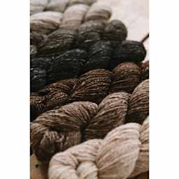 Quince & Co Hawk Yarn showing available colors