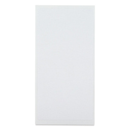 Charles Leonard Self-Adhesive All Purpose Label - Pkg of 35, 2" x 4" single sheet