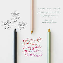 Tom's Studio Lumos Pro Refillable Single Tip Pens, close-up of writings