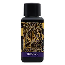 Diamine Fountain Pen Ink - Bilberry, 30 ml