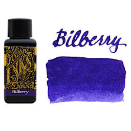 Diamine Fountain Pen Ink - Bilberry, 30 ml bottle with swatch