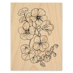 Hero Arts Flowering Woodblock Stamp - Nasturtium, printed side