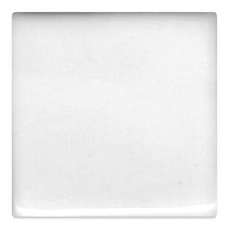 Coyote Enduro-Color Glaze - Gloss White Liner, 16 oz