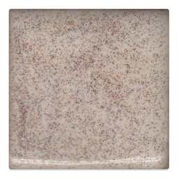 Coyote Gloss Glaze - Oatmeal, 16 oz
