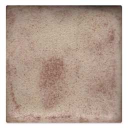 Coyote Shino Glaze - Mocha, 16 oz
