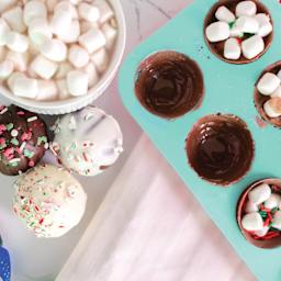 Handstand Kitchen Ultimate Hot Cocoa Bomb Set (Marshmallow and cocoa bombs inside mold)