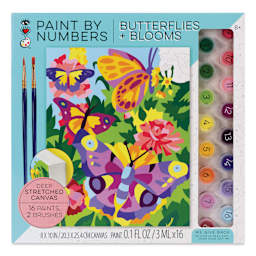 Bright Stripes iHeartArt Paint By Number Kit - Butterflies and Blooms, front of packaging