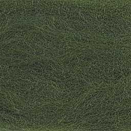 Wistyria Editions 100% Wool Roving - Forest Green, 14" - close-up