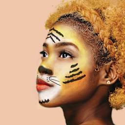 Stencil1 FX Makeup Stencils - Tiger Stripes (Shown on model)