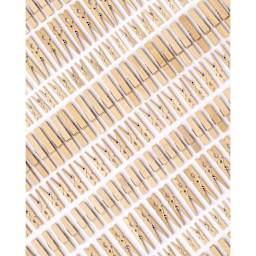 Folia Jumbo Wooden Peg Mix - Natural, 500 g